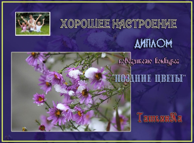 ДИПЛОМ победителя конкурса "Поздние цветы"